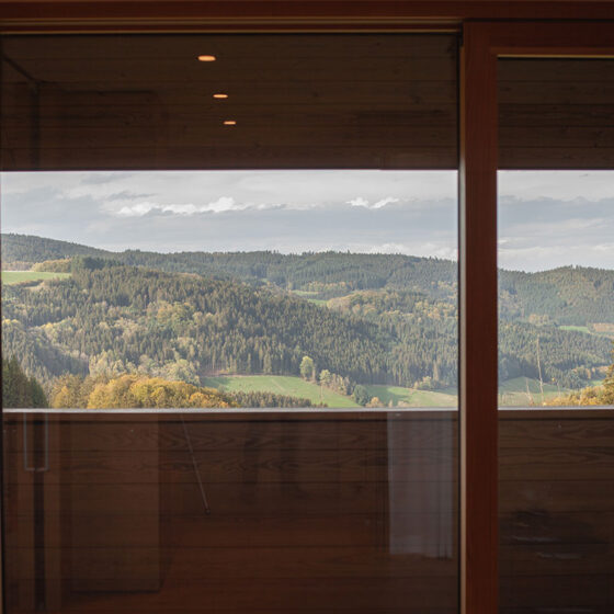 Blick aus einem Holzhaus auf grüne Hügel und bewaldete Berge in der Natur.