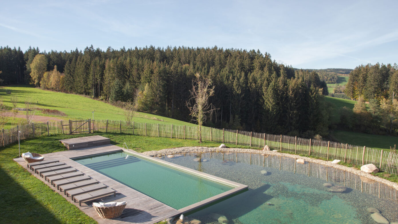 Schwimmbecken mit Liegestühlen im Garten vor malerischer Waldkulisse.