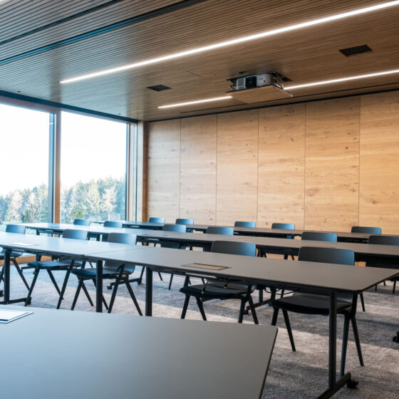 Moderne, leere Konferenzraum mit Holzdecke und großen Fenstern, ideal für Meetings.