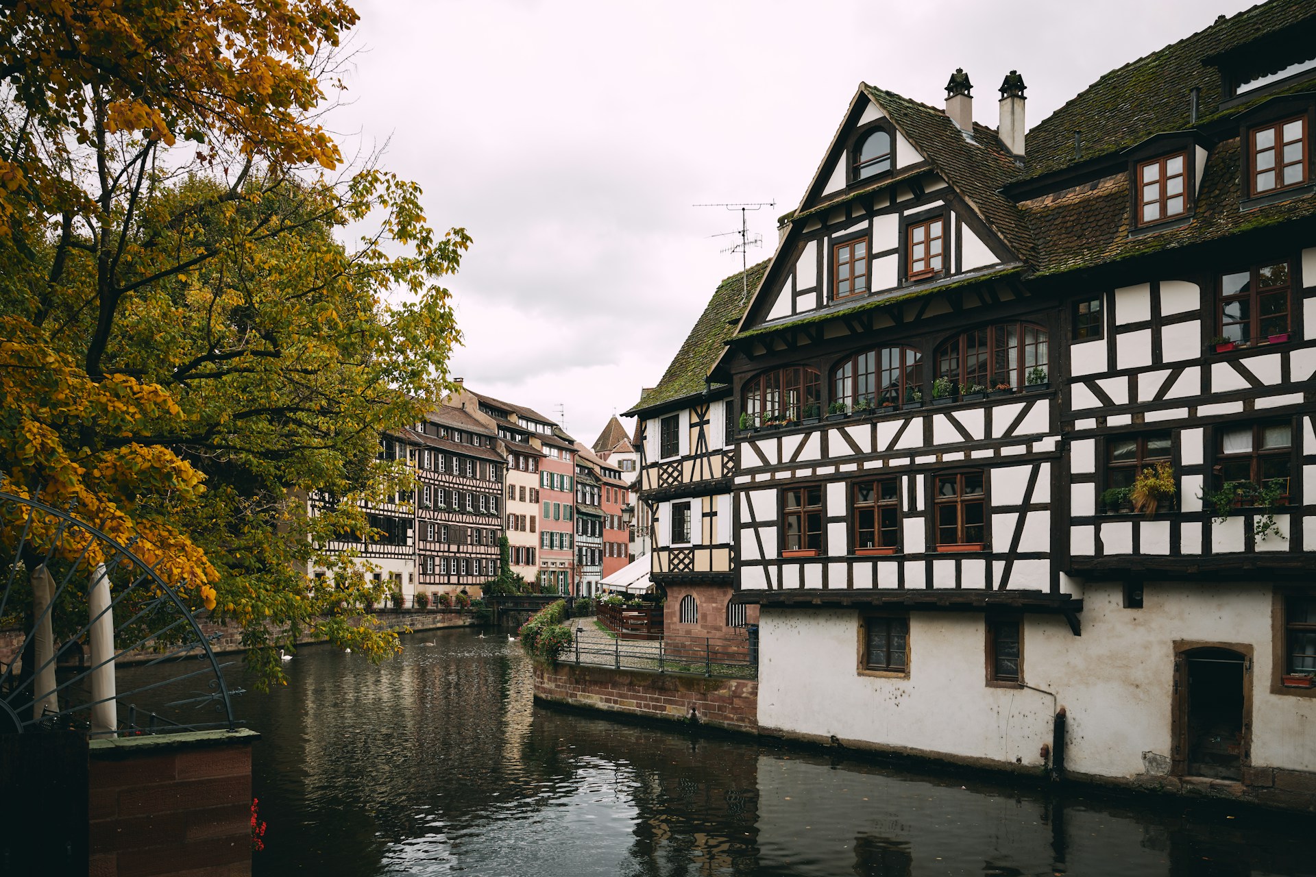 Historische Fachwerkhäuser am Fluss in einer malerischen europäischen Stadt.