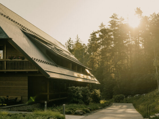 Modern Holzhaus im Wald bei Sonnenuntergang, Natur, Ruhe, nachhaltiges Wohnen.